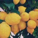 Le citron et ses propriétés